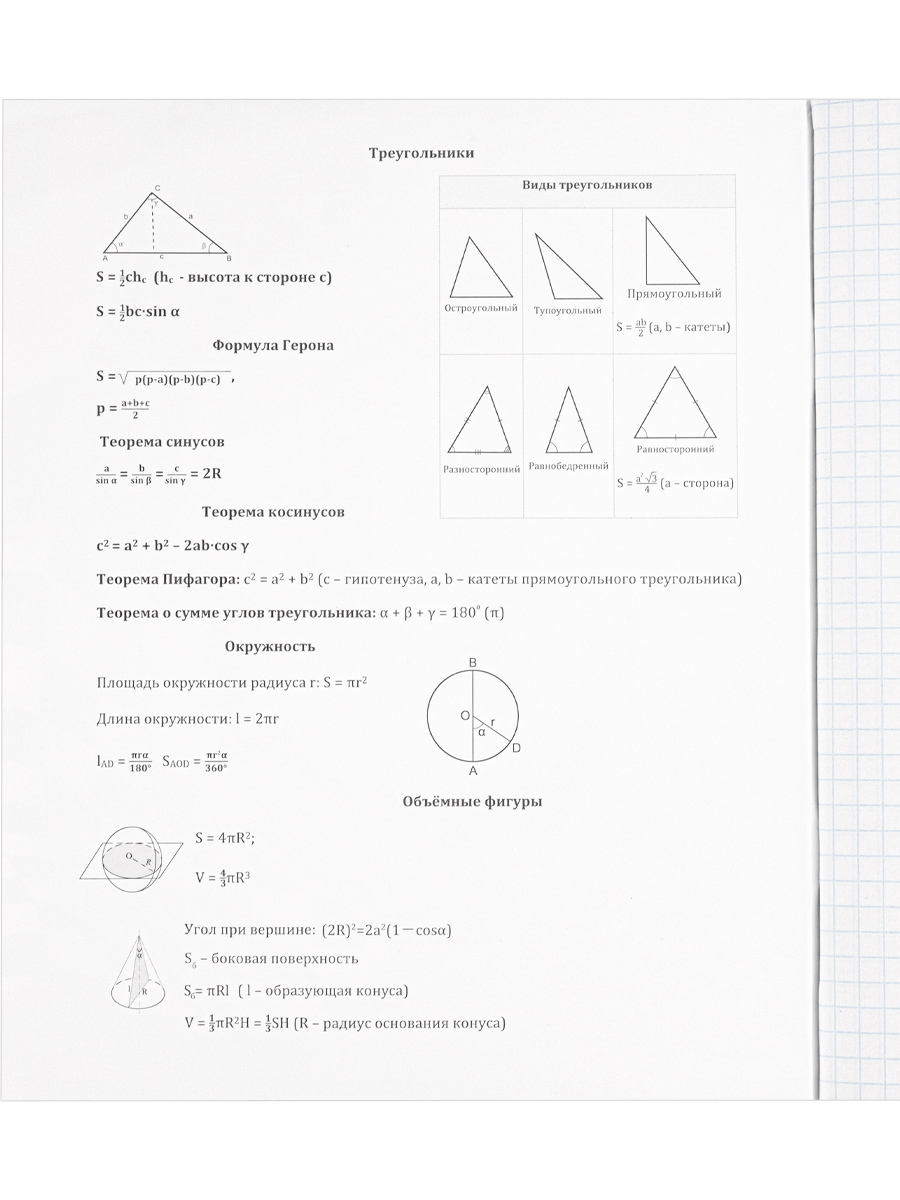 Тетрадь предметная Геометрия 48листов клетка ПРОФ-ПРЕСС  Школьные мемасики, арт. 48-9650