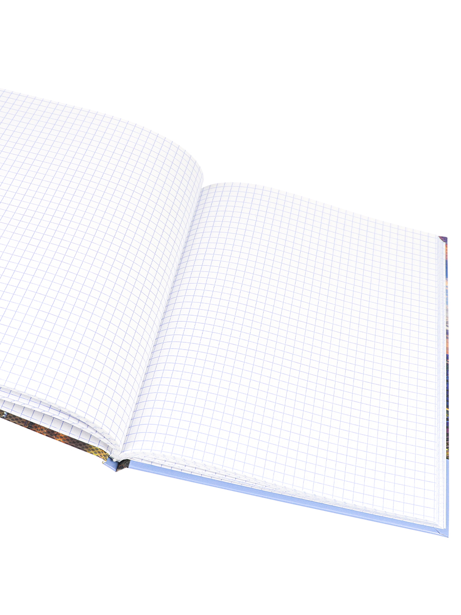 Записная книжка А5 80листов клетка ПРОФ-ПРЕСС Вечерний мегаполис твердая обложка, арт. К80-5598