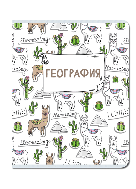 Тетрадь предметная География 48л клетка FINE BOOKS Каваи, арт. FB304