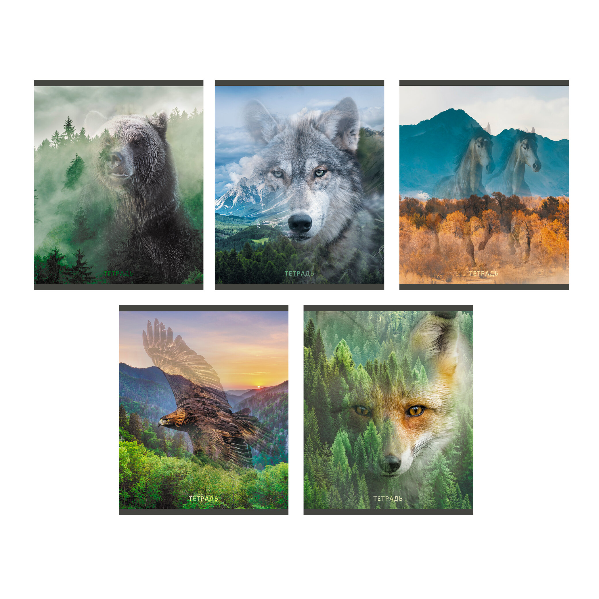 Тетрадь А5 96л линия LISTOFF Wild life ассорти, арт. ТЛ968389