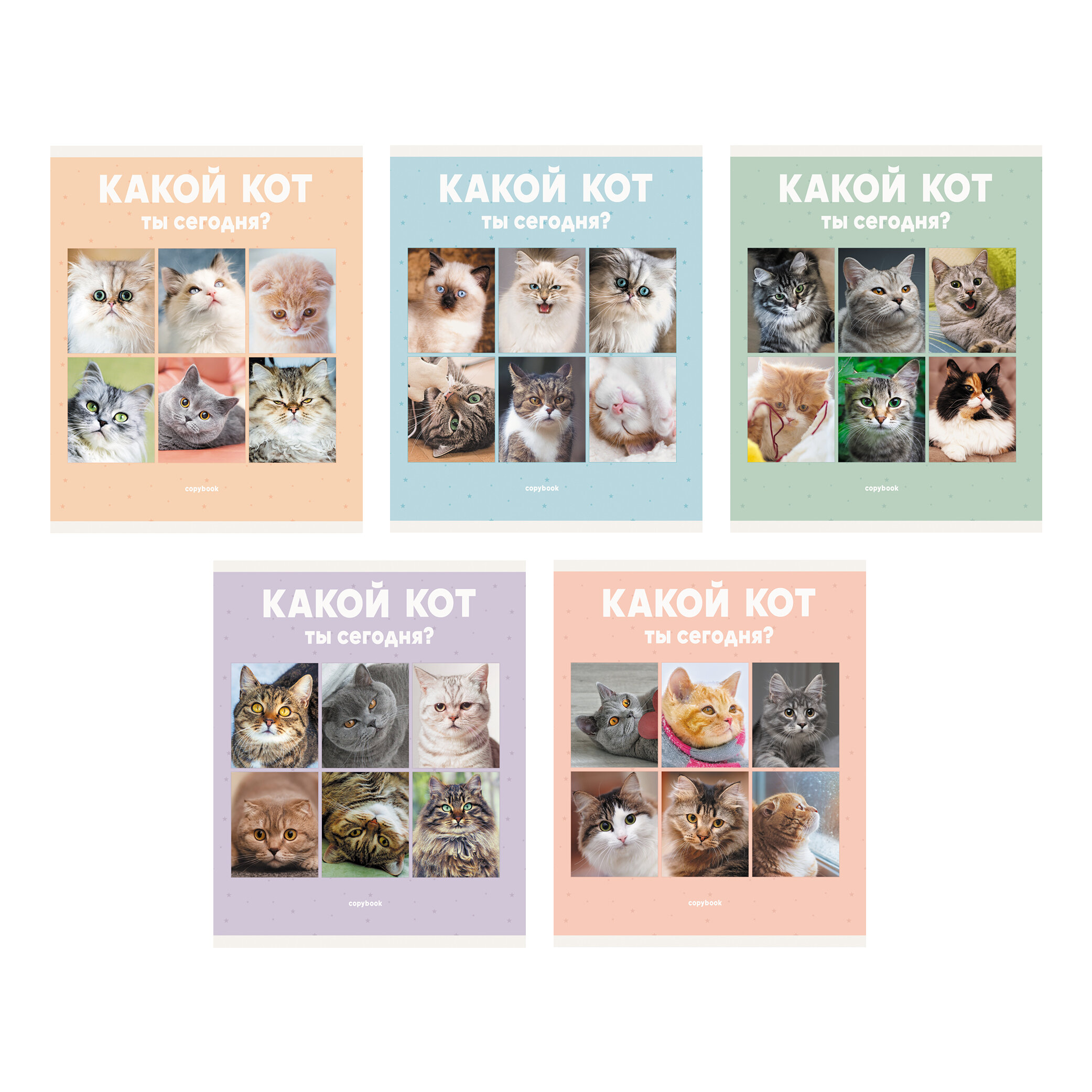 Тетрадь А5 96л клетка LISTOFF Котики ассорти, арт. ТЛ967811