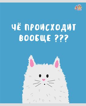 Тетрадь А5 48л клетка FINE BOOKS Чё??, арт. FB173