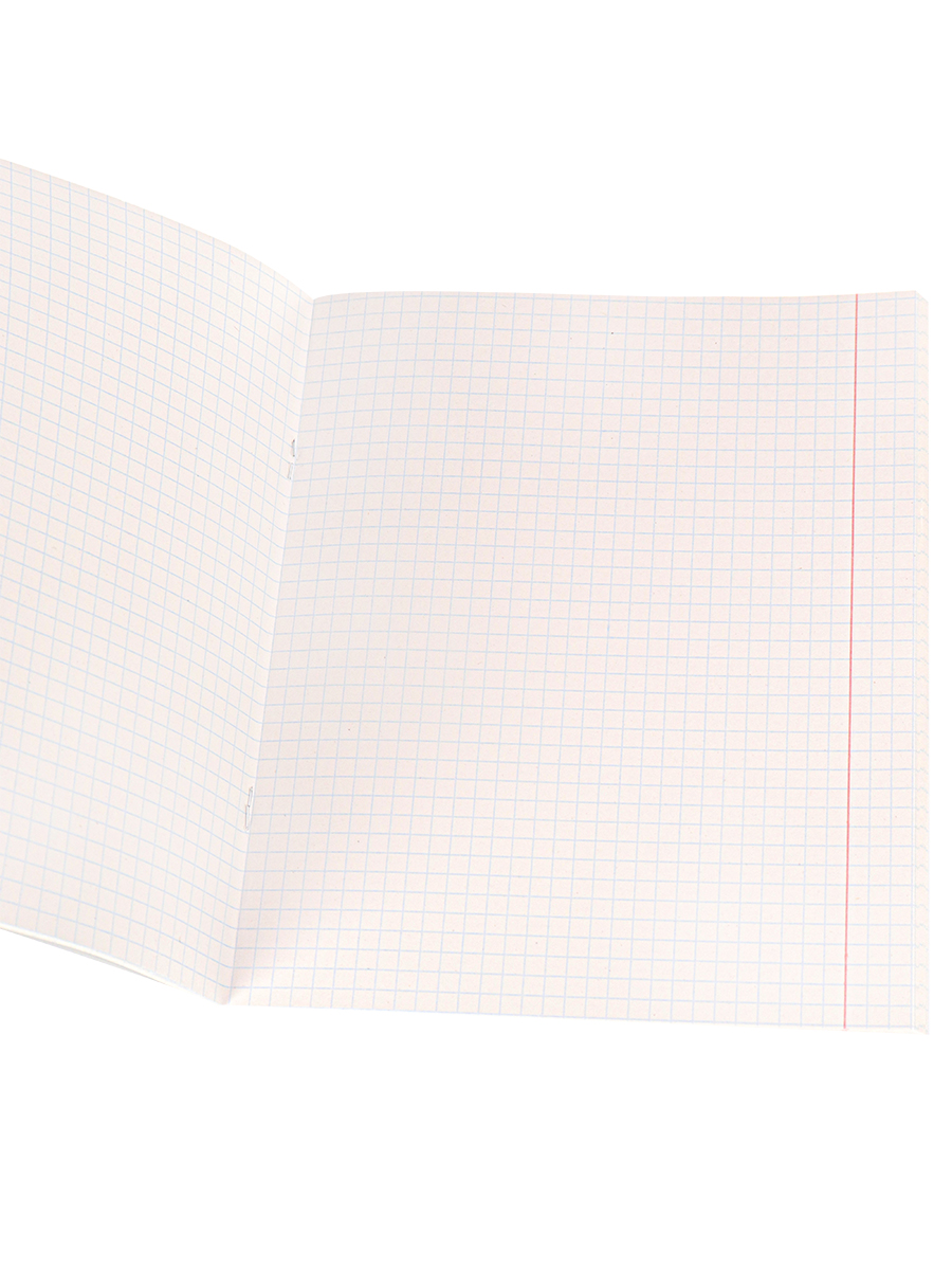 Тетрадь А5 48л клетка ПРОФ-ПРЕСС бумвинил бордовая, арт. 48БВ-1058