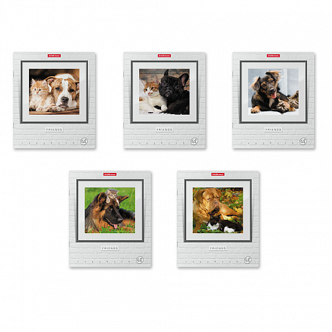 Тетрадь А5 48л клетка ERICH KRAUSE Дружба ассорти, арт. 49635