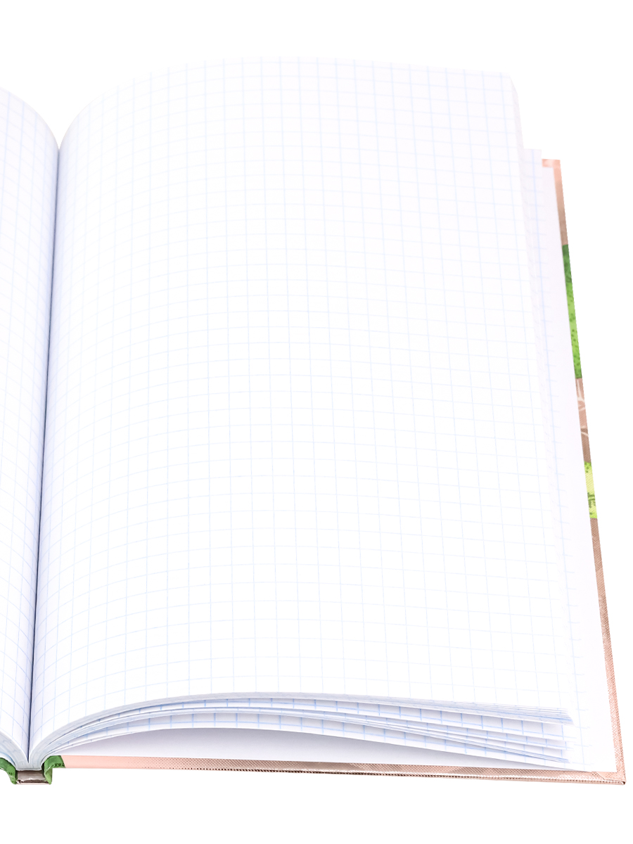 Записная книжка А5 80листов клетка ПРОФ-ПРЕСС Авокадо на розовом твердая обложка, арт. 80-5916