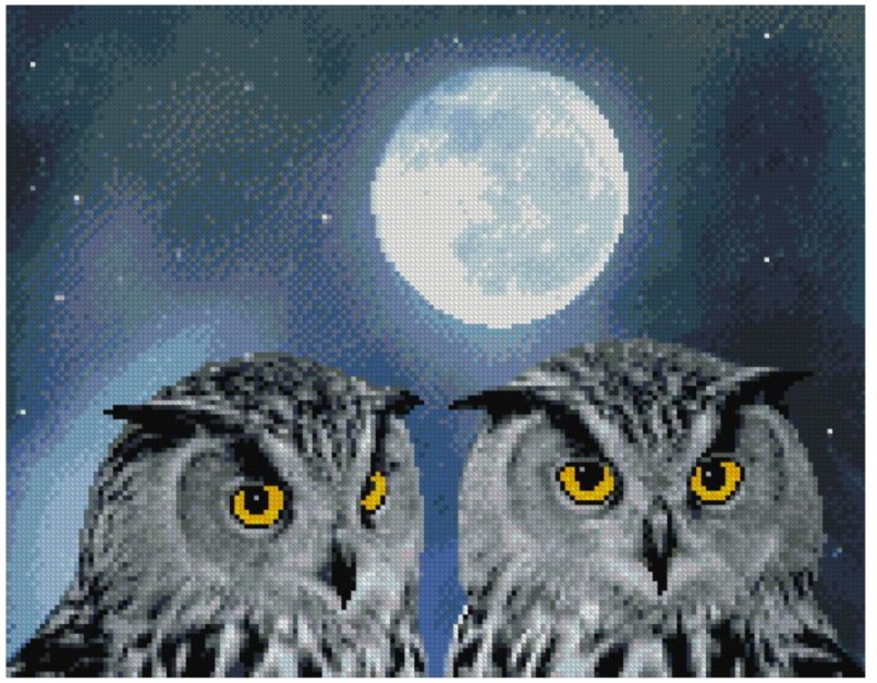 Набор для творчества Алмазная мозаика 40*50 без подрамника Совы под луной NN, арт. US0324
