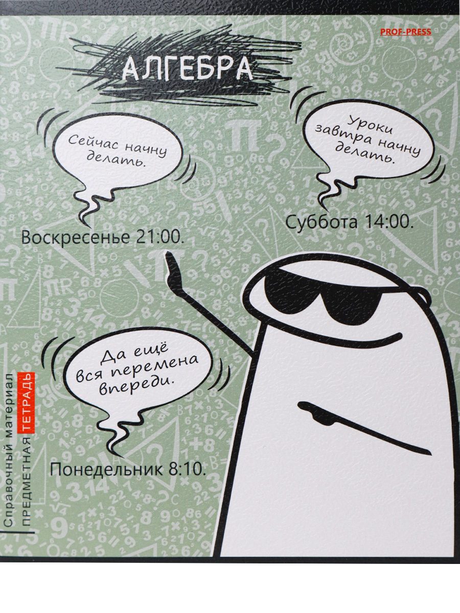 Тетрадь предметная Алгебра 48л клетка ПРОФ-ПРЕСС Школьные мемасики, арт. 48-9646