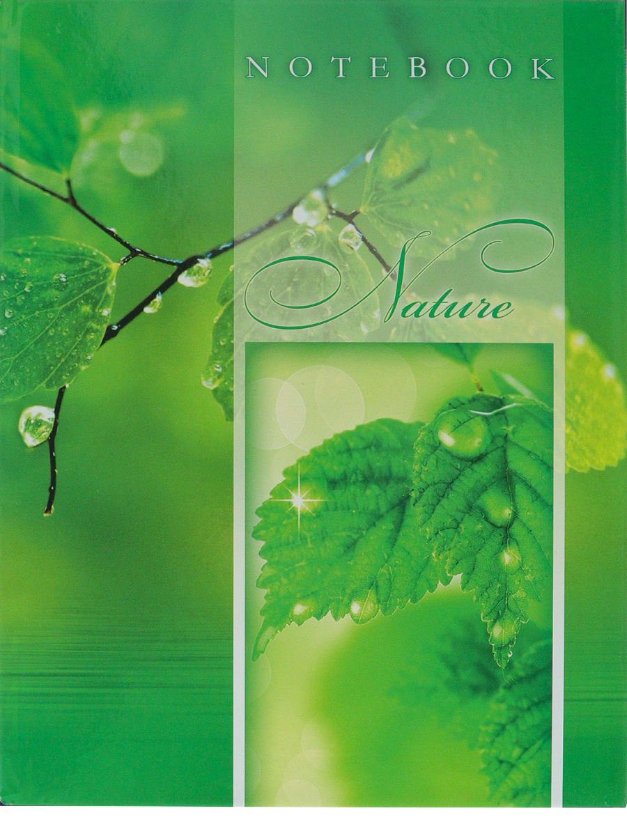 Записная книжка А5 80листов клетка ПРОФ-ПРЕСС После дождя твердая обложка, арт. 80-0284