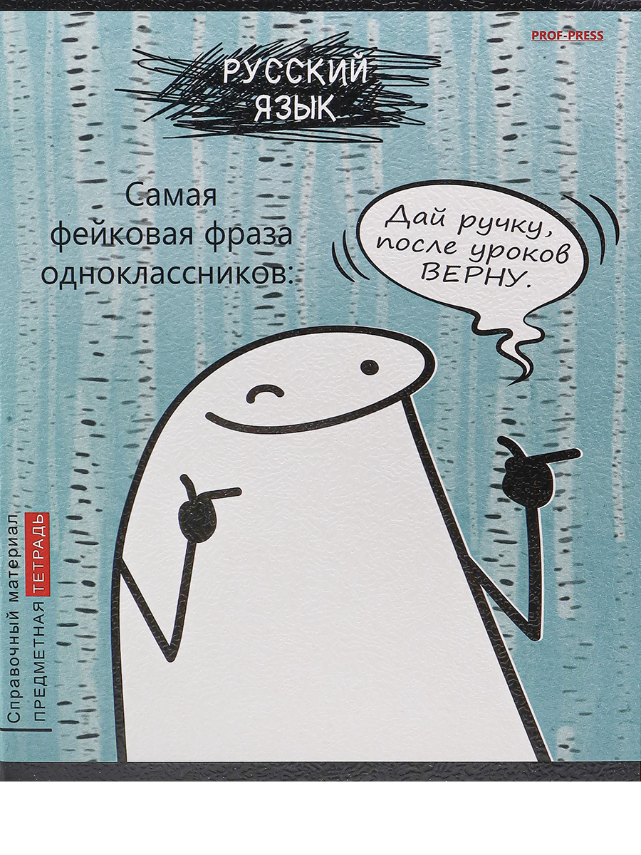 Тетрадь предметная Русский язык 48л линия ПРОФ-ПРЕСС Школьные мемасики, арт. 48-9661