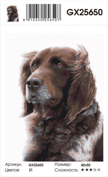 Картина по номерам с акриловыми красками 40*50 на подрамнике Собака каштановая NN, арт. GX25650