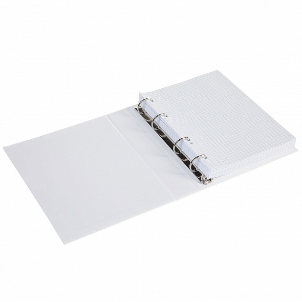 Тетрадь А5 160л клетка на кольцах ХАТБЕР Россия твердая обложка, арт. 160ТК5В1_15607