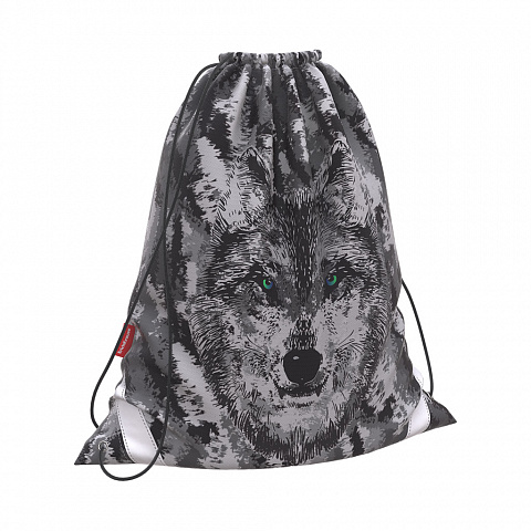Мешок для обуви ЕRICH KRAUSE Wolf, арт. 46183