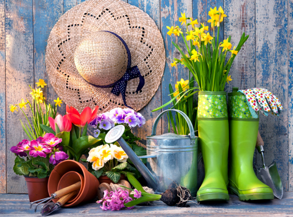 Картина по номерам с акриловыми красками на подрамнике 40*50 NN Дачный сезон, арт. GX30513