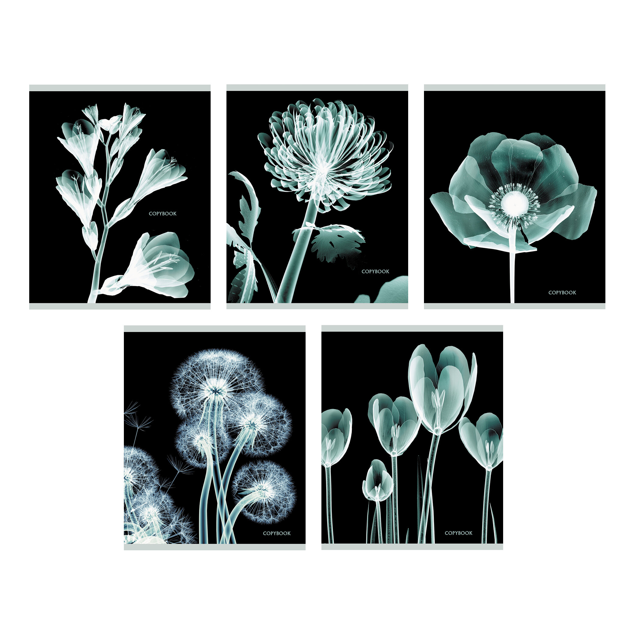 Тетрадь А5 48л клетка LISTOFF X-ray ассорти, арт. ТКФЛ487911