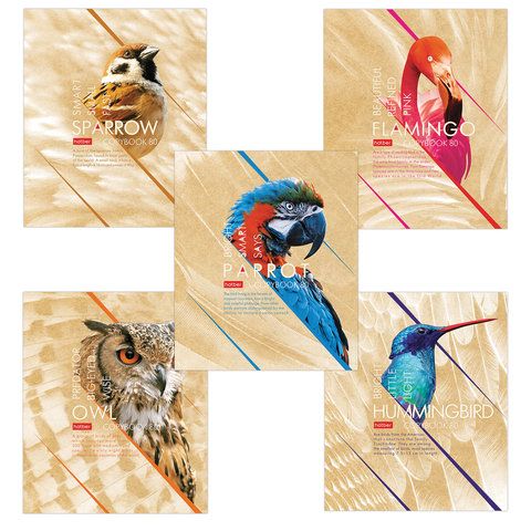 Тетрадь А5 80листов клетка ХАТБЕР Birds, арт. 80Т5вмВ1