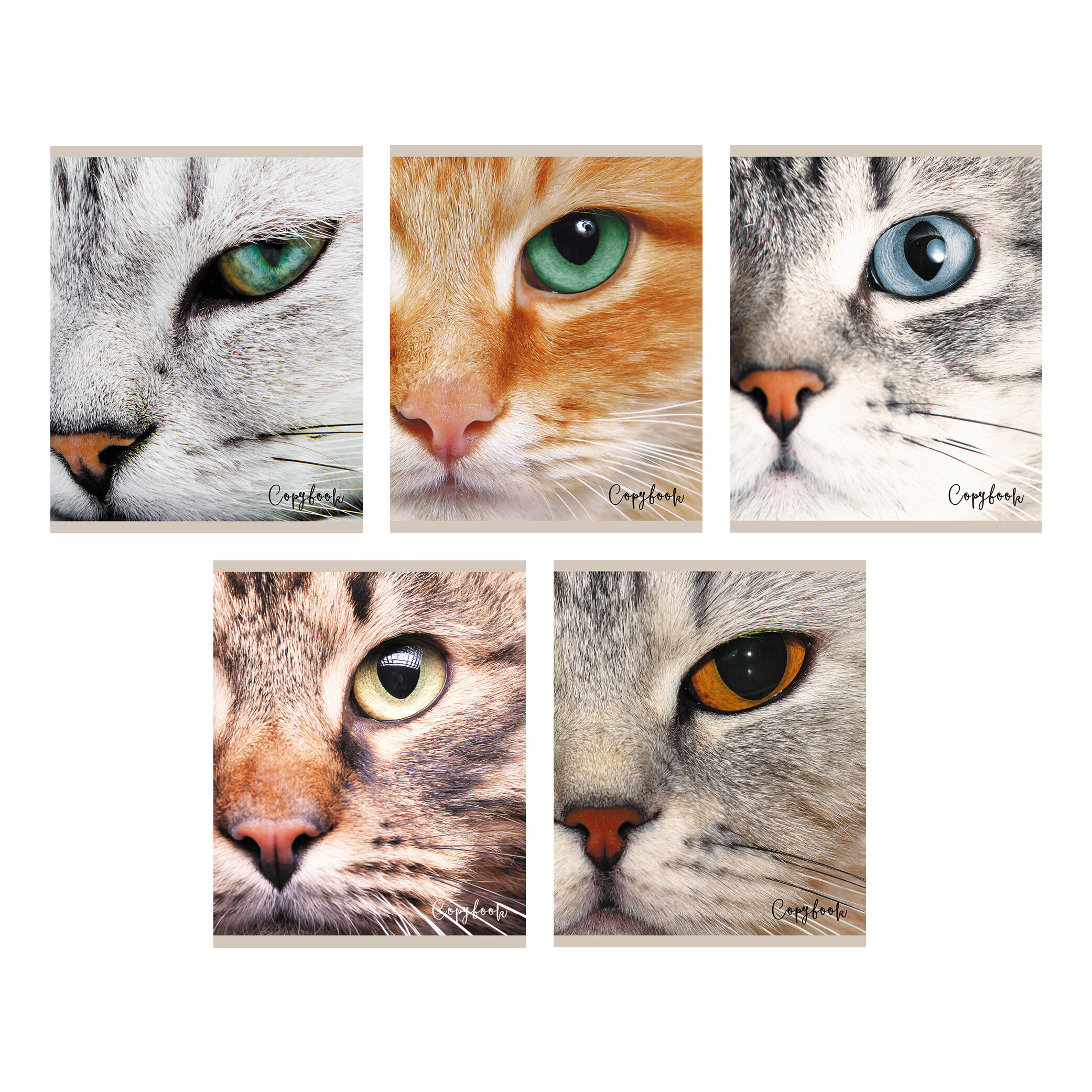 Тетрадь А5 48л клетка LISTOFF Cat eye ассорти, арт. ТК487805