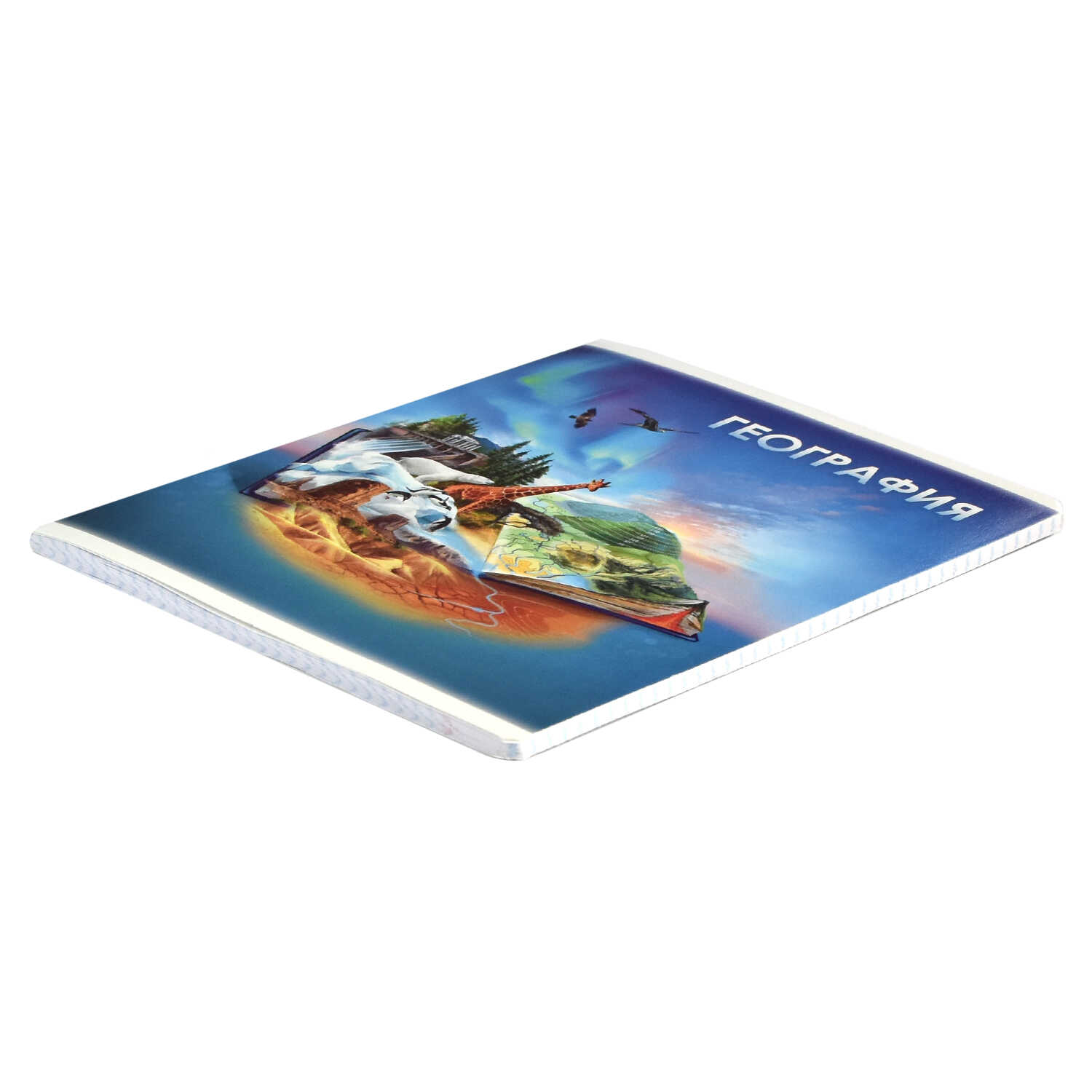 Тетрадь предметная География 48 листов клетка ФЕНИКС Книга знаний, арт. 60494