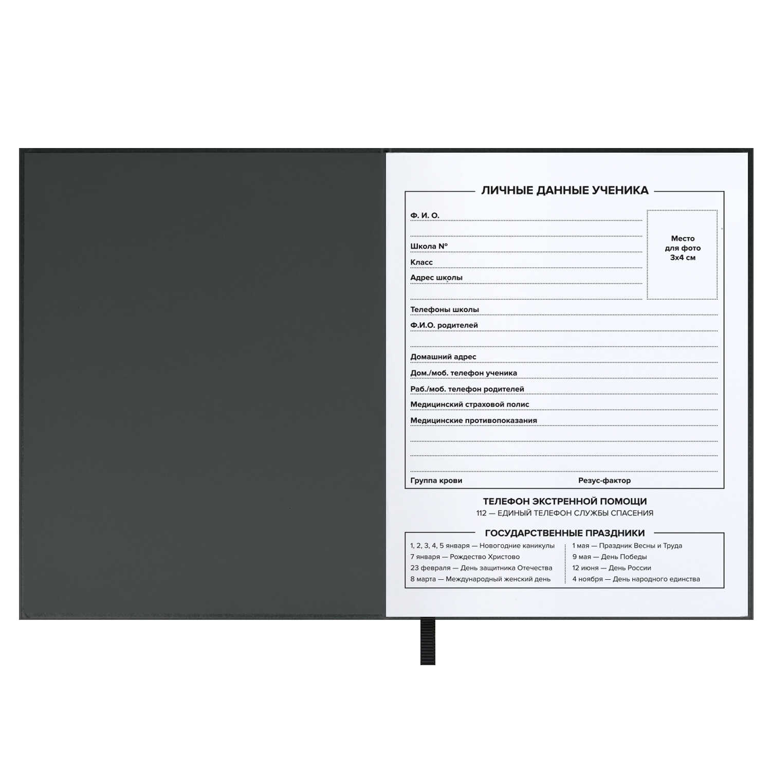 Дневник 1-11 класс твердая обложка ФЕНИКС Кот, арт. 62296