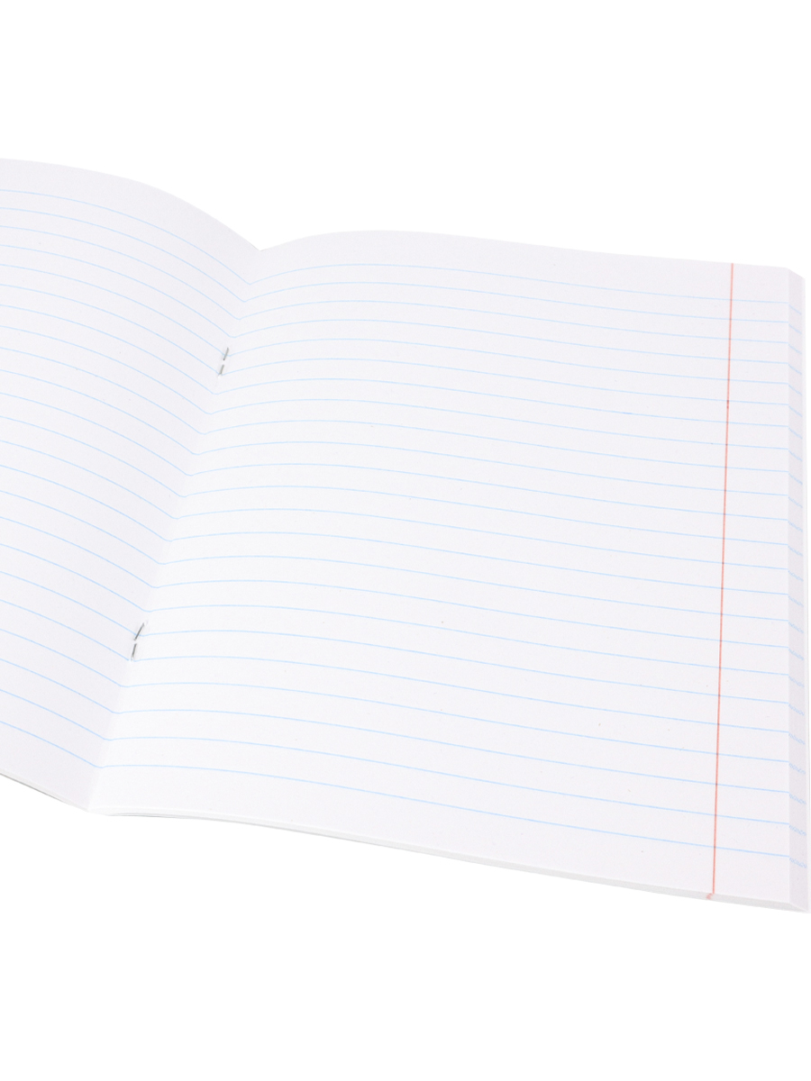 Тетрадь предметная Русский язык 48л линия ПРОФ-ПРЕСС Школьные мемасики, арт. 48-9661