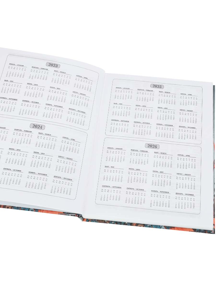 Ежедневник недатированный А5 ПРОФ-ПРЕСС Портрет и флористка твердая обложка, арт. 128-5208