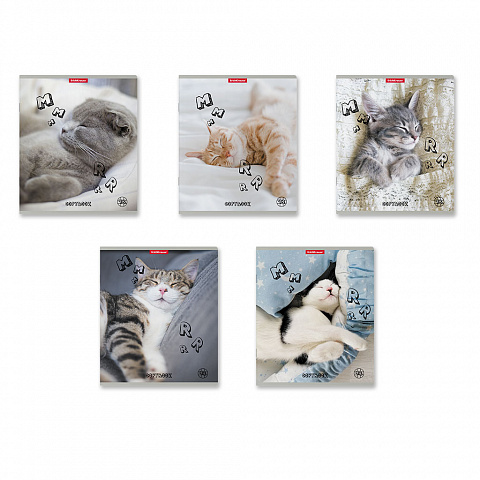 Тетрадь А5 48л клетка ERICH KRAUSE Be Relaxed ассорти, арт. 58285