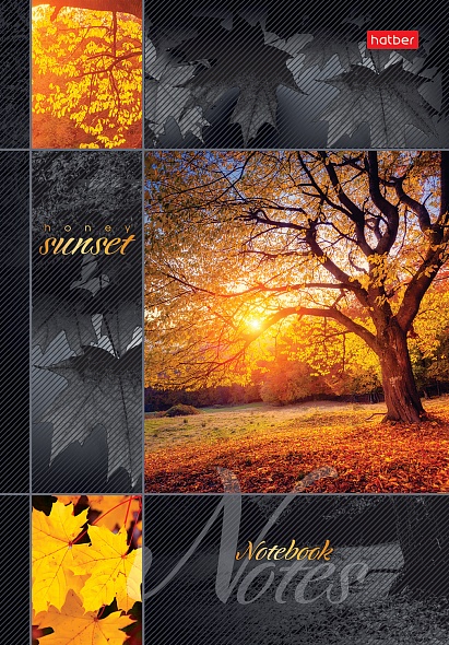 Блокнот Бизнес А5 120л клетка ХАТБЕР Медовый закат тв обл, арт. 120ББп5В1_14485