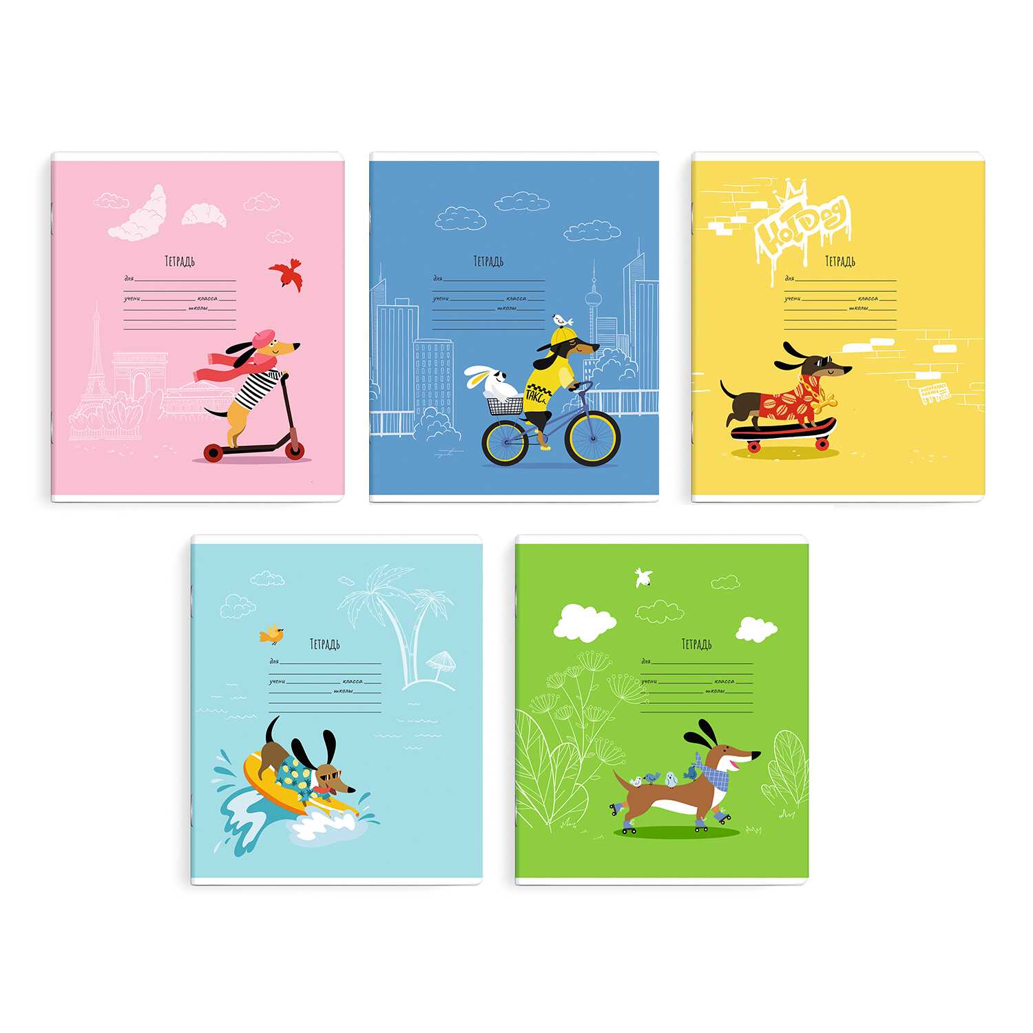 Тетрадь А5 12л линия ФЕНИКС Евротакса ассорти, арт. 59091