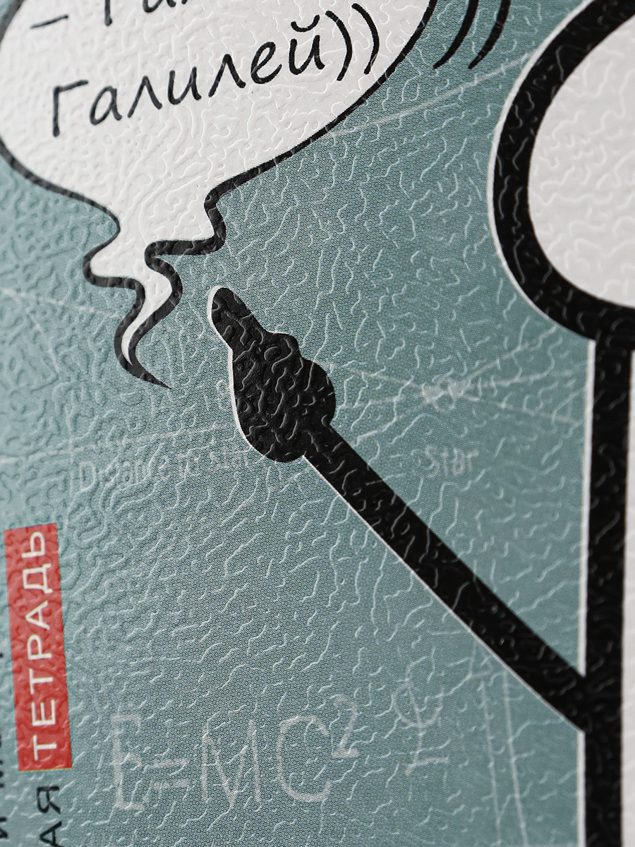 Тетрадь предметная Физика 48листов клетка ПРОФ-ПРЕСС Школьные мемасики, арт. 48-9658