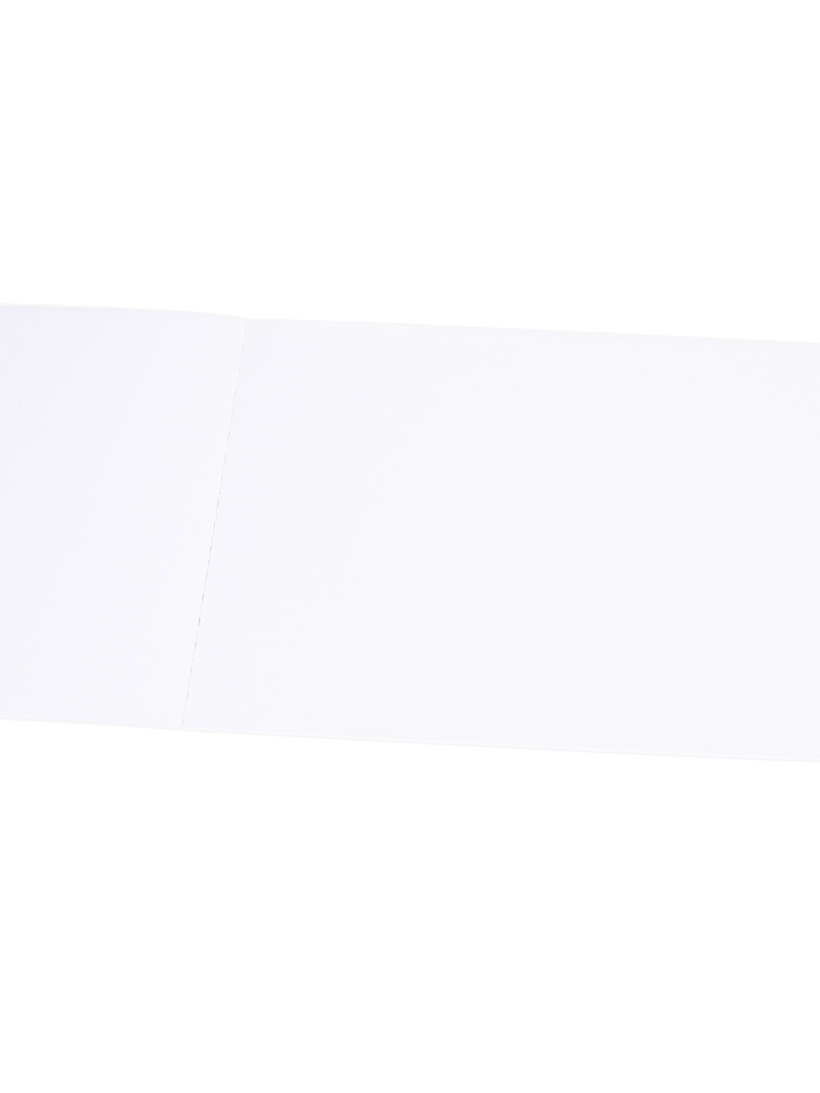 Альбом для рисования 40л склейка ПРОФ-ПРЕСС Приветливое авокадо, арт. 40-9556