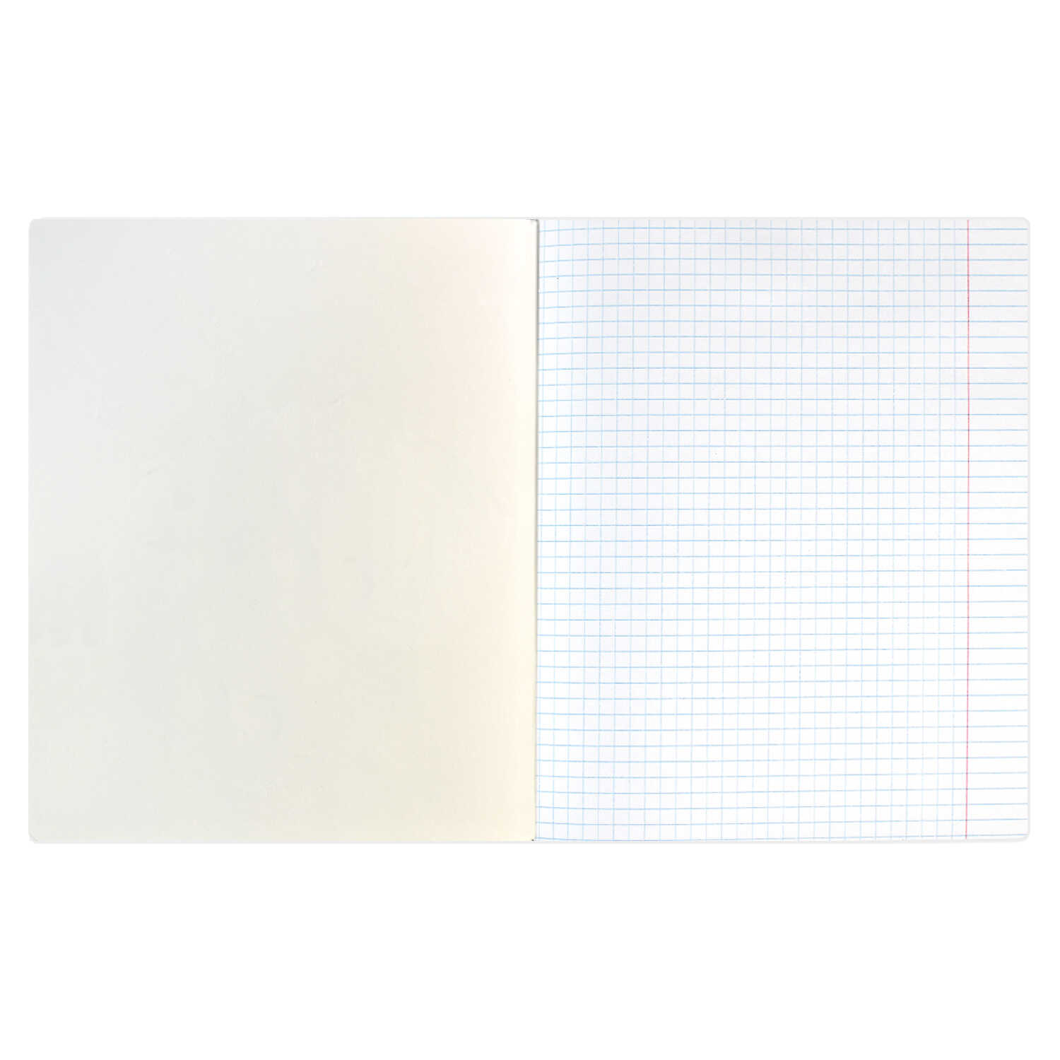 Тетрадь А5 48л клетка ФЕНИКС Стиль жизни ассорти, арт. 59114