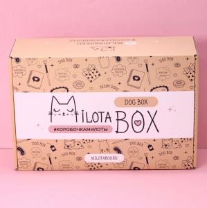 Подарочный набор MilotaBox Dog, арт. MB105