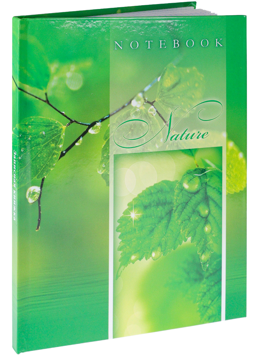 Записная книжка А5 80листов клетка ПРОФ-ПРЕСС После дождя твердая обложка, арт. 80-0284