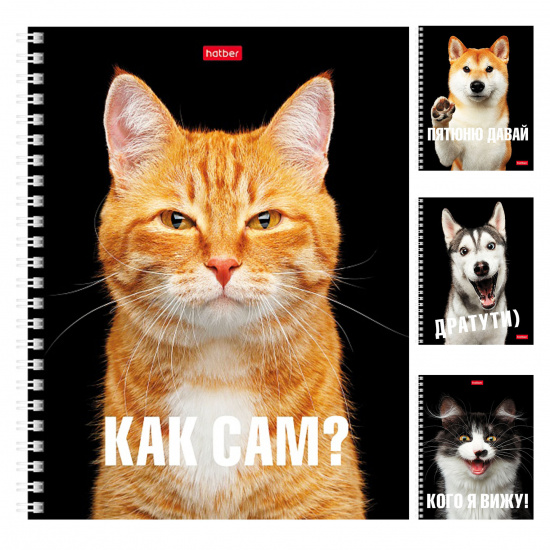 Тетрадь А5 48л клетка спираль ХАТБЕР Привет ассорти, арт. 48Т5В1гр