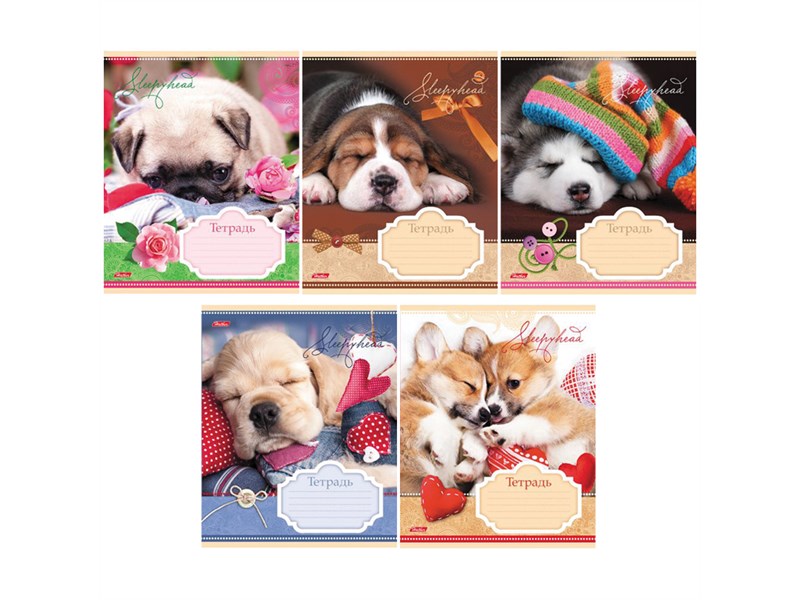 Тетрадь А5 12л клетка ХАТБЕР Сони-Засони ассорти, арт. 12Т5В1