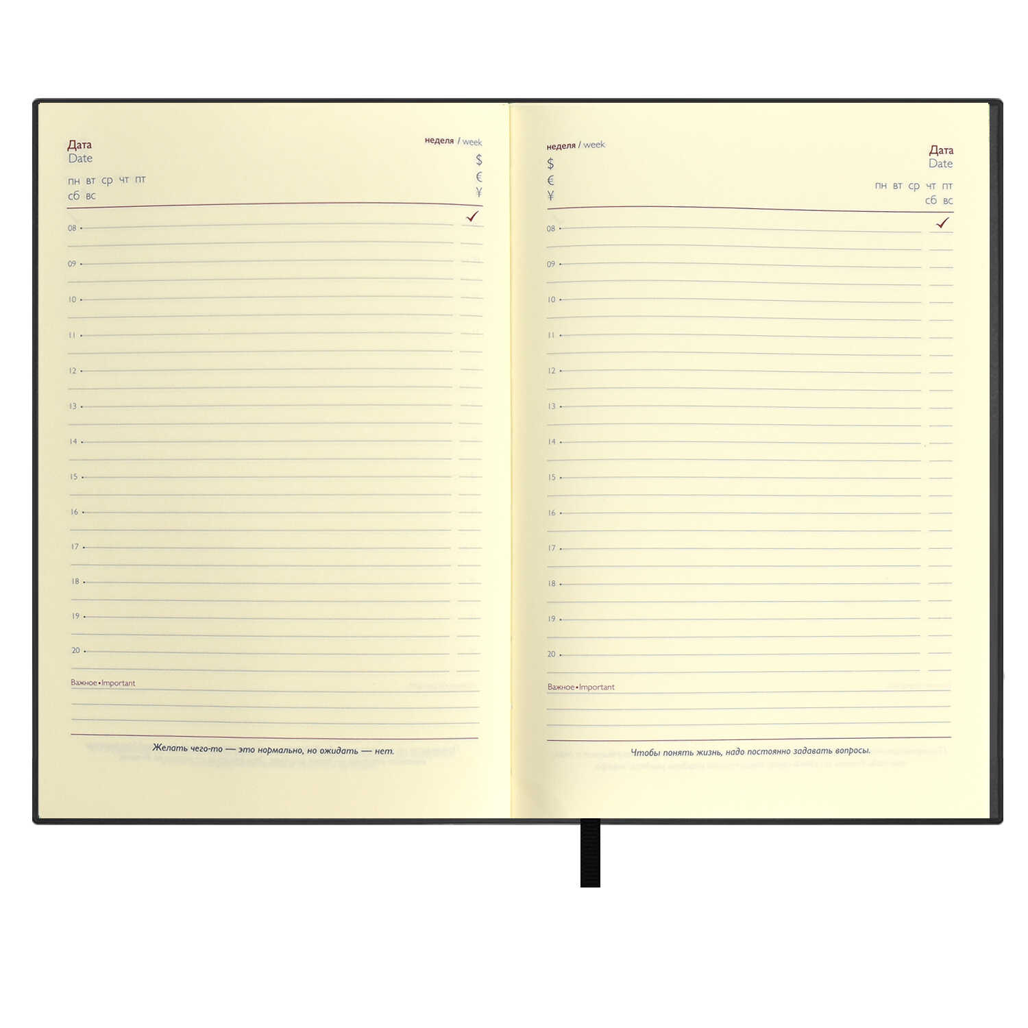 Ежедневник недатированный А5 ФЕНИКС Escalada Шеврет кремовый блок интегральная обложка искусственная кожа черный срез черный, арт. 63996