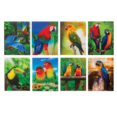 Блокнот А7 40л BRAUBERG Попугаи 3D пластиковая обложка ассорти, арт. 128089