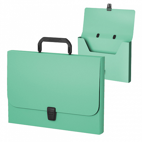 Папка портфель пластиковая А4+ ERICH KRAUSE Matt Powder 1 отделение Папка портфель пласт А4 E.K. Matt Ice Metallic 1отд оливковая, арт. 55099