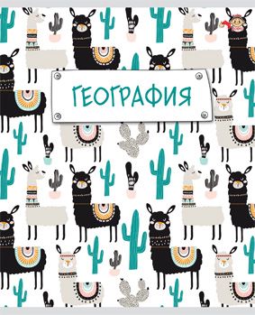 Тетрадь предметная География 48л клетка FINE BOOKS Hip, арт. FB164