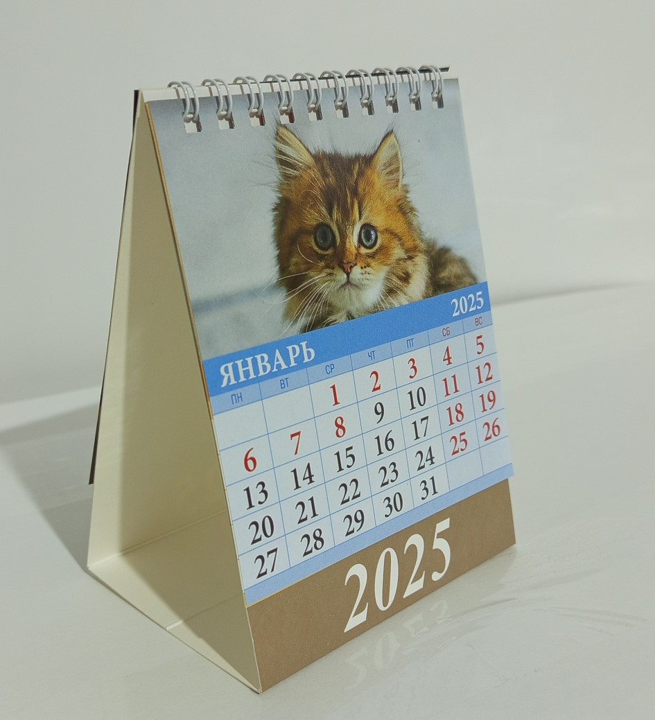 Календарь шалаш 2025г спираль 100*140 Щенки и котята ГРАМОТЕЙ , арт. 02-25010