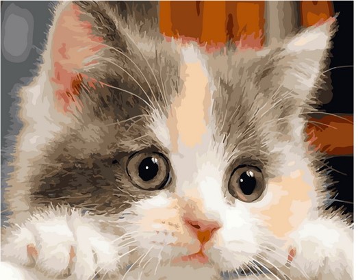 Картина по номерам с акриловыми красками 40*50 Милый котенок NN, арт. GX45695