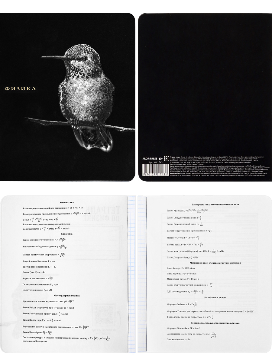 Тетрадь предметная комплект 12шт 48л ПРОФ-ПРЕСС BLACKSOFT, арт. 48-1744