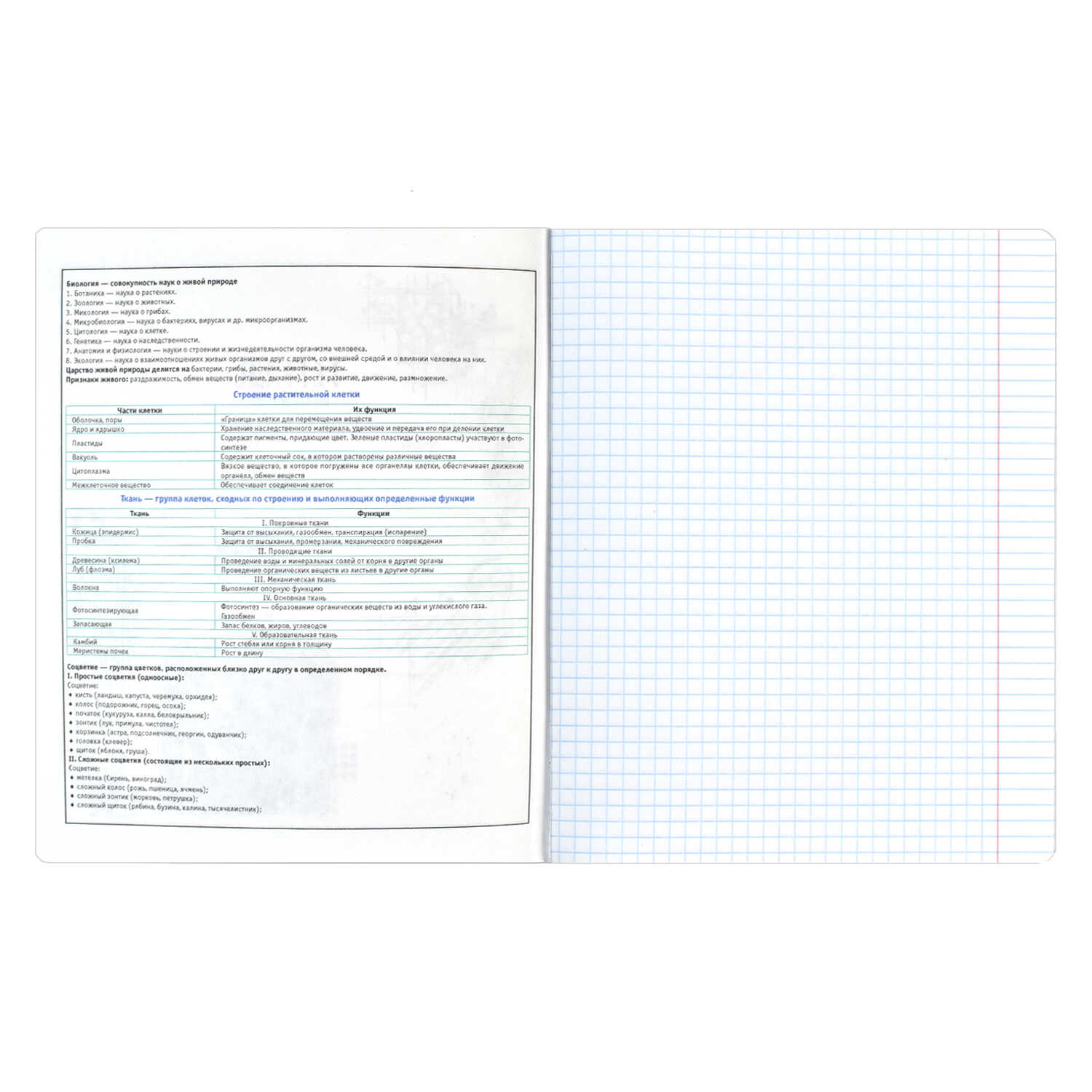 Тетрадь предметная Биология 48л клетка ФЕНИКС Книга знаний, арт. 60493