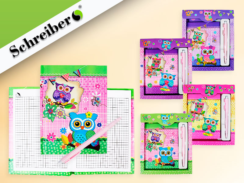 Записная книжка А6 48л клетка склейка Совы SCREIBER твердая обложка + ручка в коробке, арт. S-1936