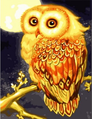 Картина по номерам с акриловыми красками на подрамнике 40*50 NN Золотая сова , арт. GX41639