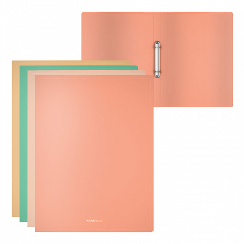 Папка на 2-х кольцах А4 24мм ERICH KRAUSE Matt Powder ассорти , арт. 54824