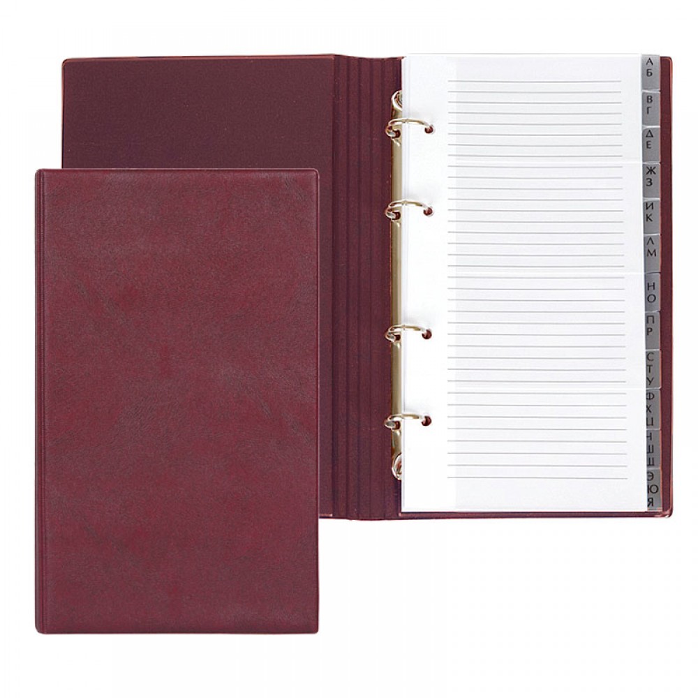 Алфавит книга ДПС 150*250мм кожзам бордовая, арт. 1735.ЛИ-203
