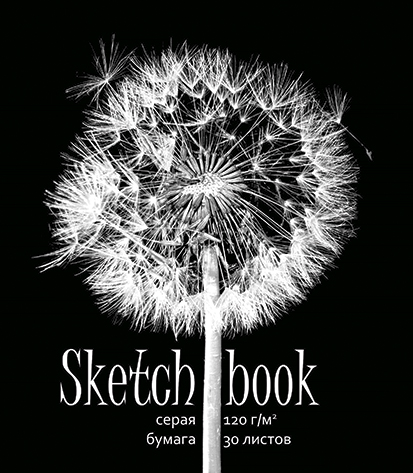 Блокнот/скетчбук А5 30л 120г/м2 спираль ПЗБМ Одуванчик серая бумага, арт. 098672