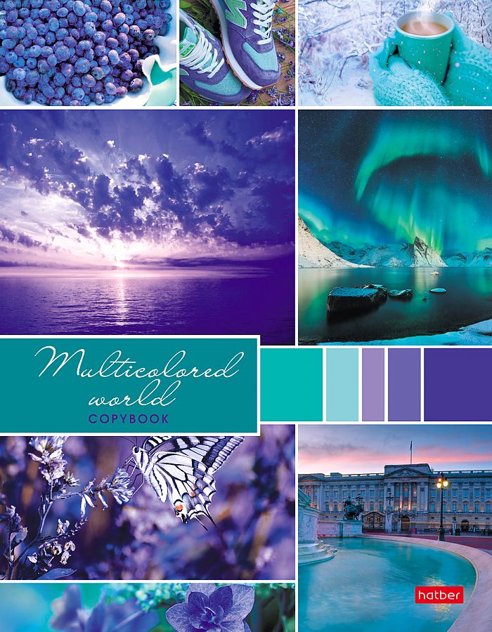 Тетрадь А5 160л клетка на кольцах ХАТБЕР Разноцветный мир твердая обложка, арт. 160ТК5В1_18951