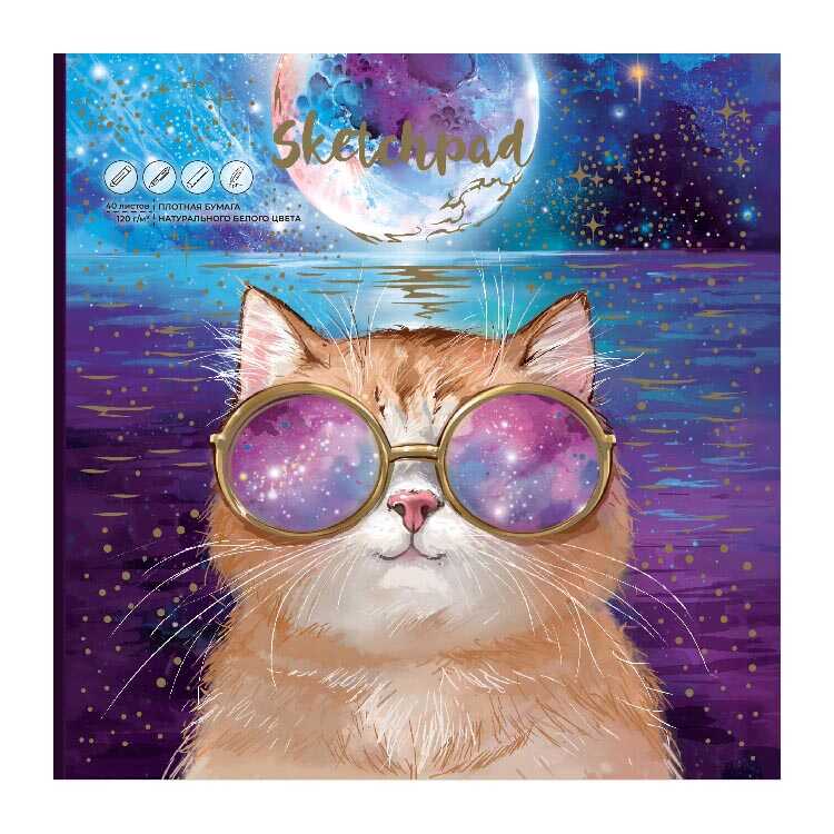 Альбом для эскизов/скетчпад 170*170 40л 120г/м2 ФЕНИКС Космический кот, арт. 62713