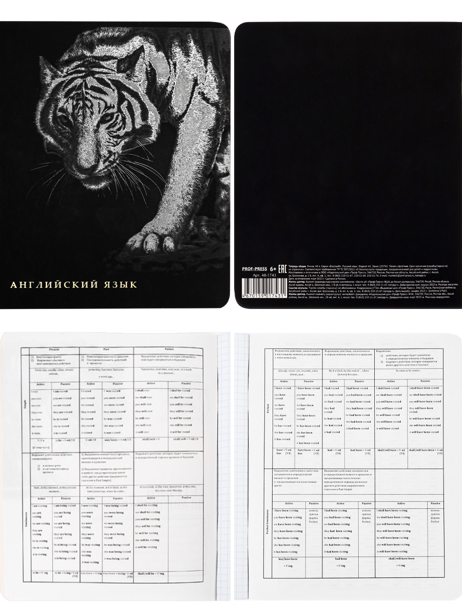 Тетрадь предметная комплект 12шт 48л ПРОФ-ПРЕСС BLACKSOFT, арт. 48-1744